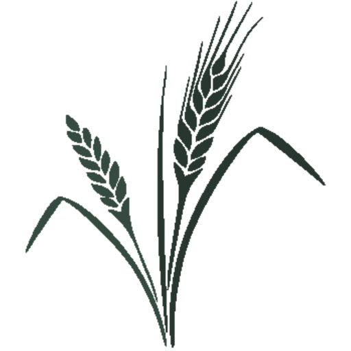 HeteroGen logo